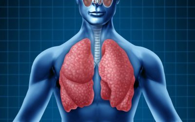 Alimentos para fortalecer los pulmones